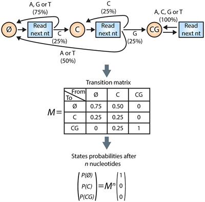 Commentary: MSH3 homology and potential recombination link to SARS-CoV-2 furin cleavage site